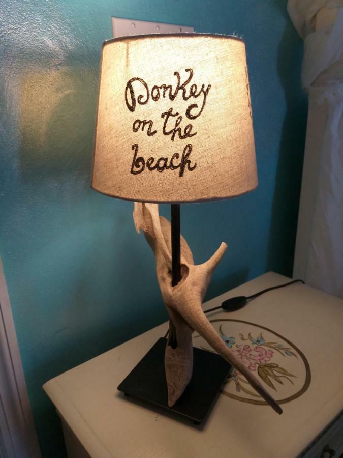 Donkey On The Beach Cobbs Cross Экстерьер фото